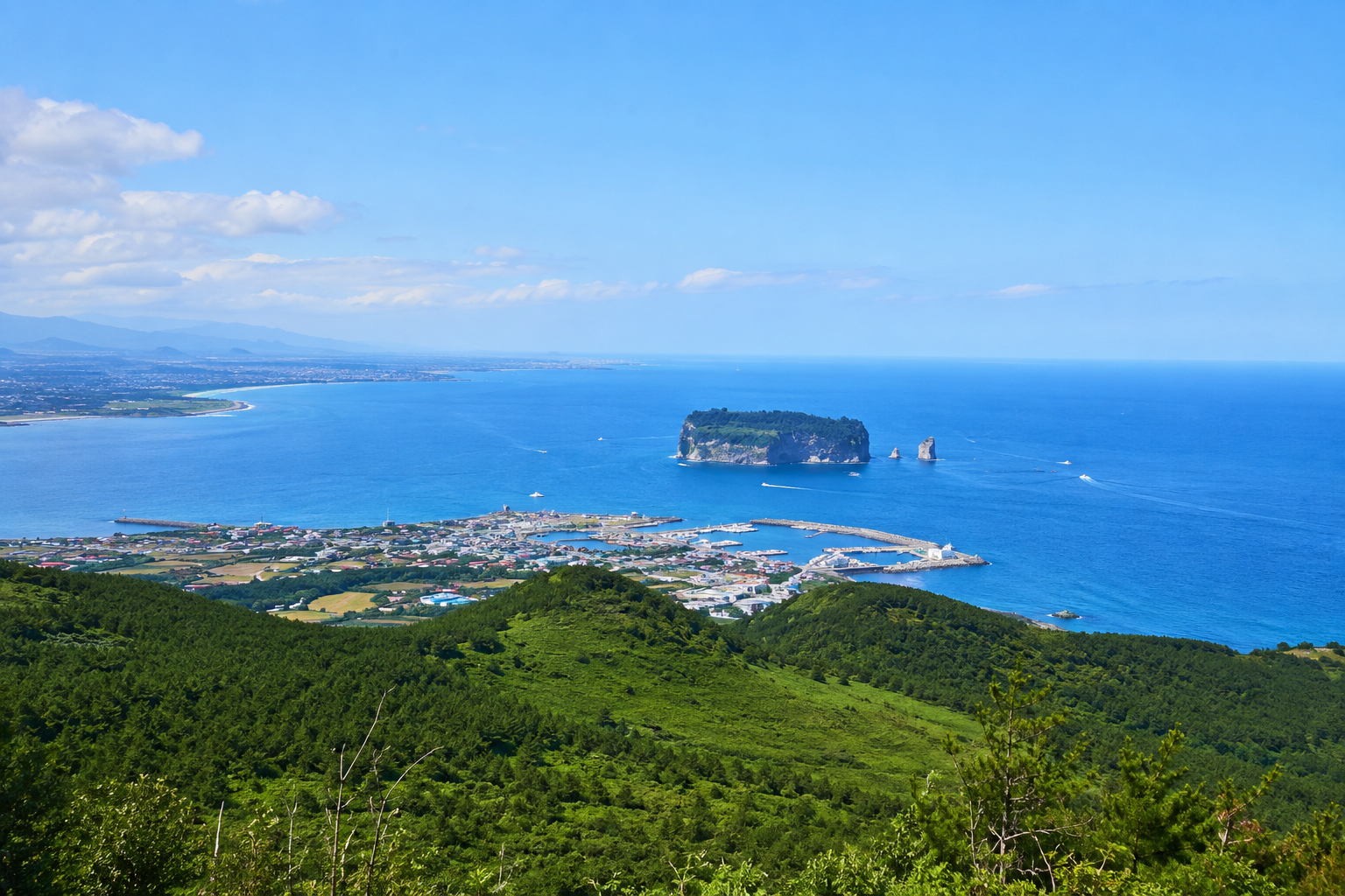 제주 돌담과 유채꽃, 오름 풍경 (추후 사진/영상 교체 예정)
